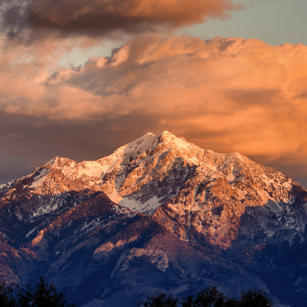 Untitled design 2025 01 13T121154.185